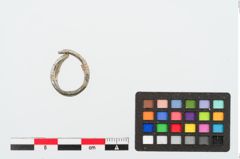 Foto von Bleiring (NHMW-PRAE-025053a)